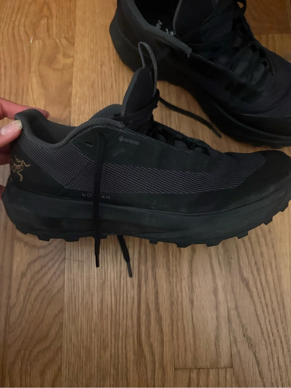 Arc'teryx Norvan LD 4 GTX Women’s Trail/Hiking Shoes